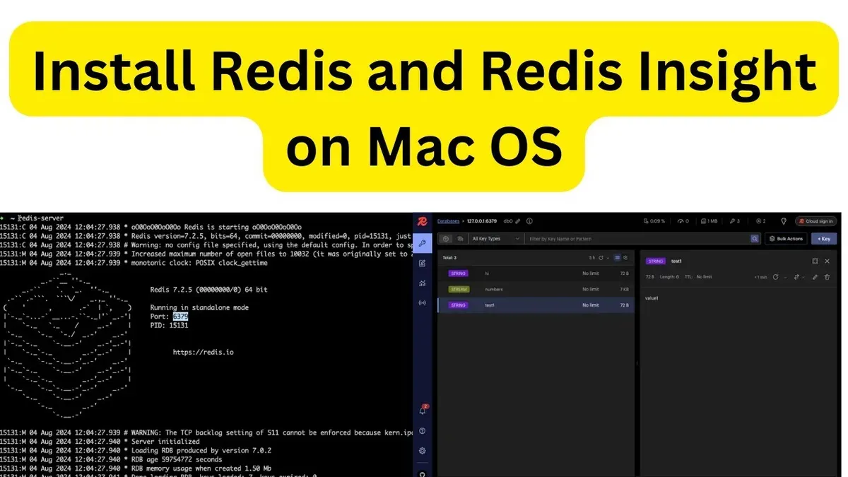 How to set up Redis on Mac for development and testing – how to install Redis on Mac