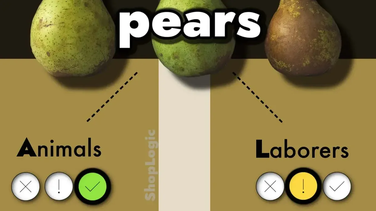 What This Advice Does Not Cover – switching from Pear Deck to Padlet