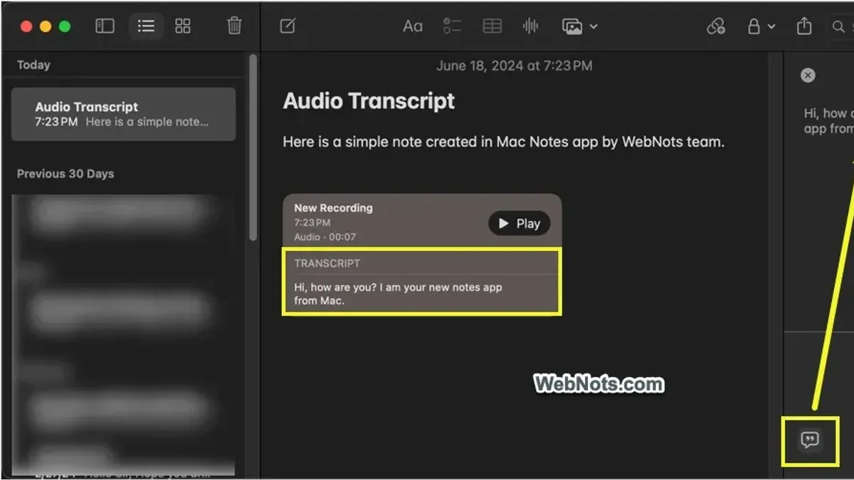 Mac screen showing audio to transcript conversion with software on Mac