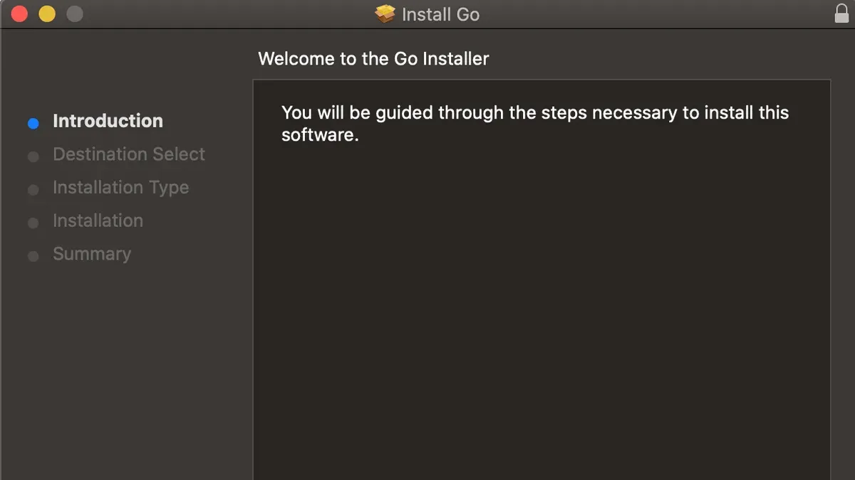 Developer installing Go on Mac using terminal commands