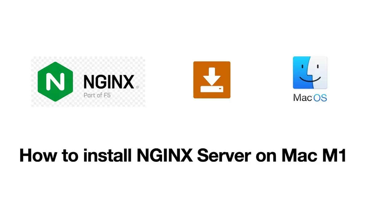 Terminal window on Mac showing commands to install Nginx on Mac