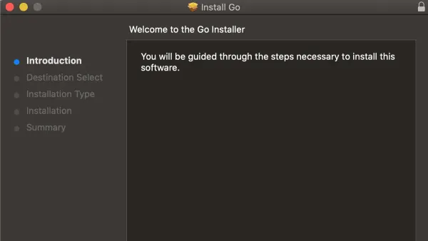 Developer installing Go on Mac using terminal commands
